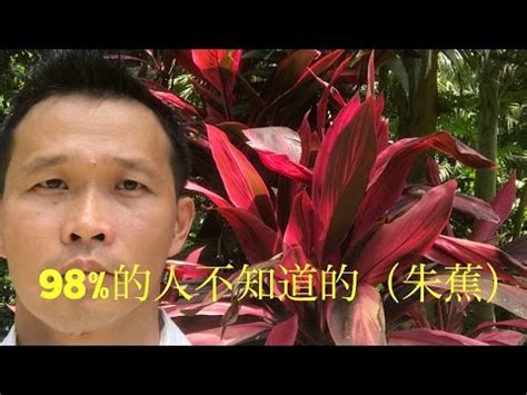 富貴紅風水|富貴紅風水秘訣大公開